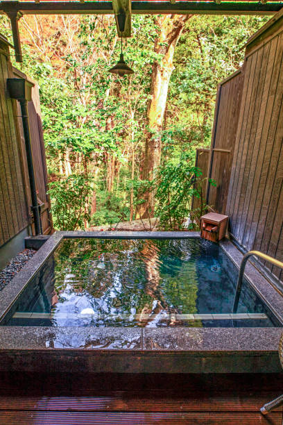 istock Japanese Onsen in the Woods 1162039991