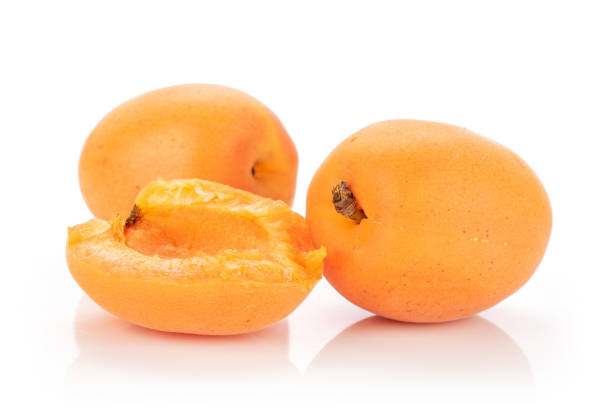 istock Fresh orange apricot isolated on white 1162041630