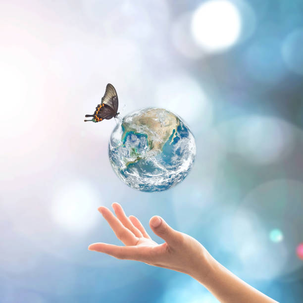 istock World environment day, ecology and ozone layer protection concept with woman's hand supporting earth planet under sun light flare with beautiful butterfly: Elements of this image furnished by NASA 1162044582