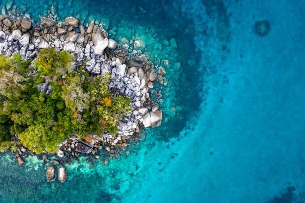 istock Aerial view of coast 1162054082