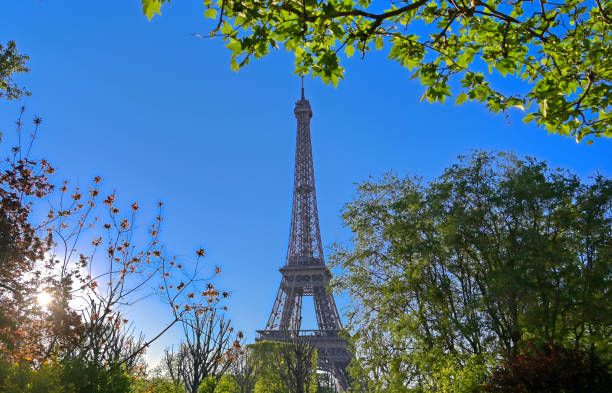 istock Eiffel Tower in Paris, France 1162055489