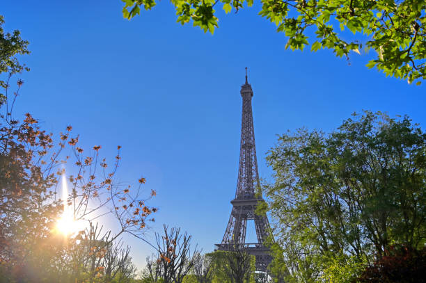 istock Eiffel Tower in Paris, France 1162055504