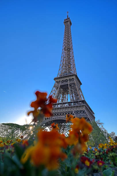 istock Eiffel Tower in Paris, France 1162056073