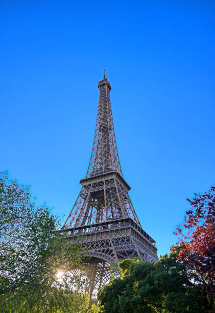 istock Eiffel Tower in Paris, France 1162056101