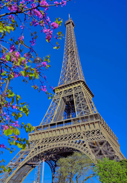 istock Eiffel Tower in Paris, France 1162056143
