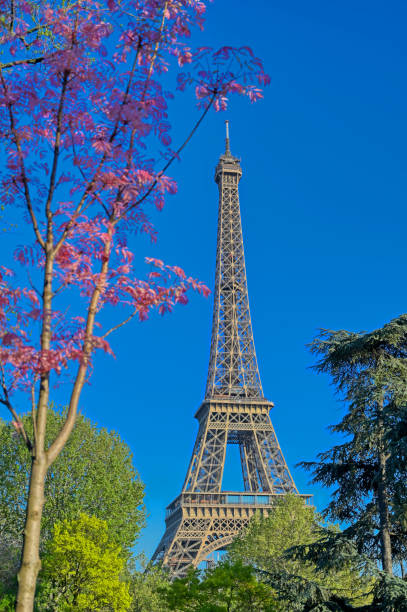istock Eiffel Tower in Paris, France 1162056145
