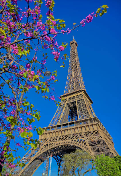 istock Eiffel Tower in Paris, France 1162056212