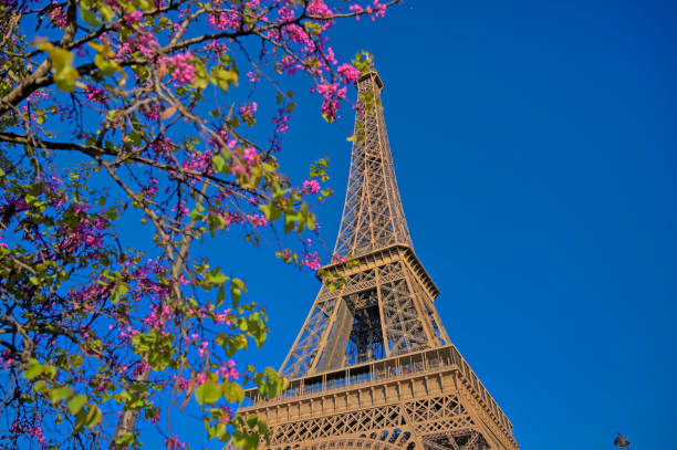 istock Eiffel Tower in Paris, France 1162056213