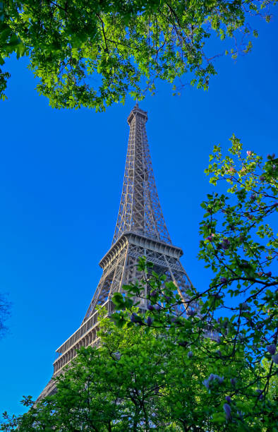 istock Eiffel Tower in Paris, France 1162056235