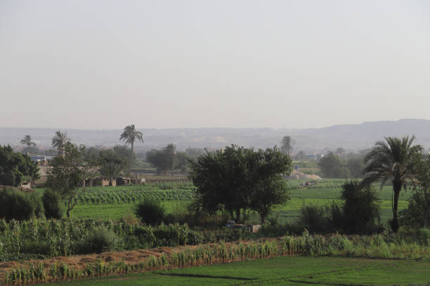 istock From 26th of July road 1162056270