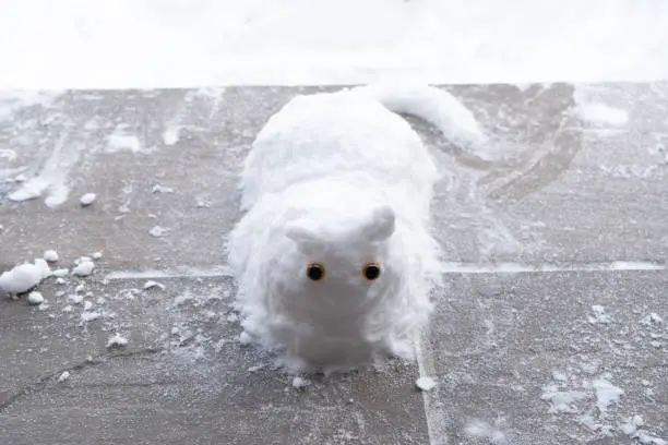 Photo of A snow made cat at front door