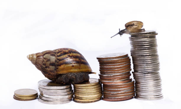 istock Two snail climbing pile of coins on white background 1162059497