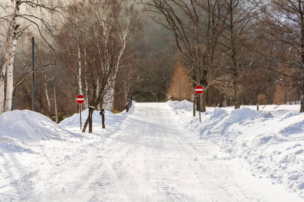 istock Small road or footpath covered by snow in winter. 1162063170