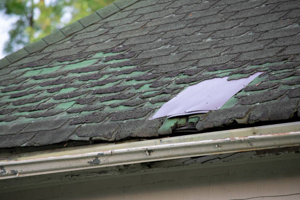 istock Damaged and old roofing shingles and gutter system on a house 1162064325