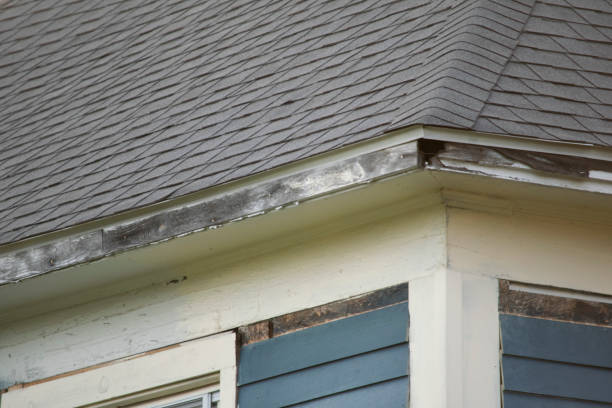 istock Damaged and old roofing shingles and gutter system on a house 1162064331