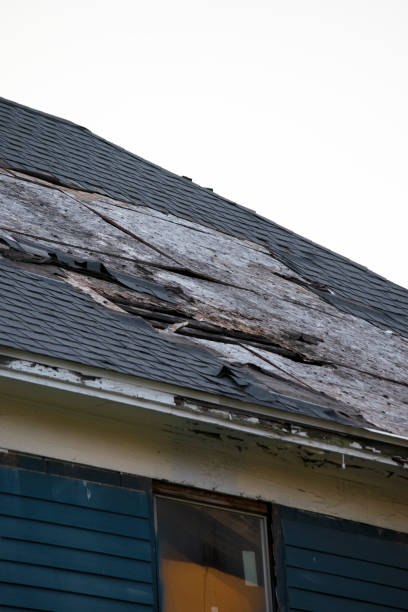 istock Damaged and old roofing shingles and gutter system on a house 1162064381