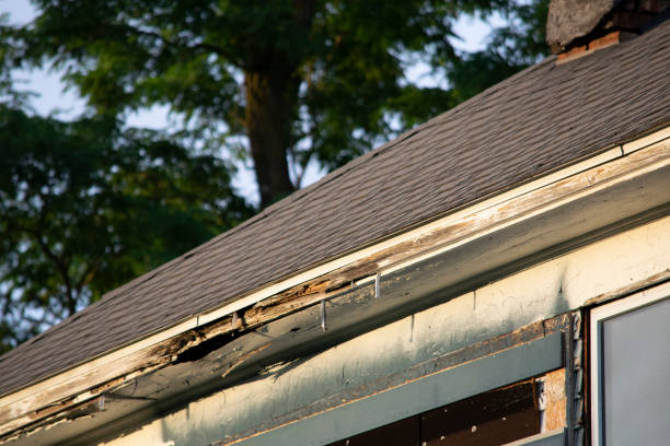 istock Damaged and old roofing shingles and gutter system on a house 1162064384