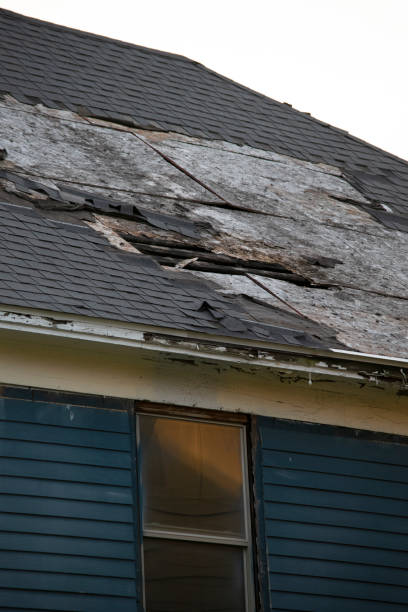 istock Damaged and old roofing shingles and gutter system on a house 1162064387