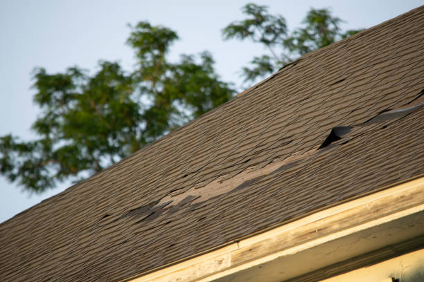 istock Damaged and old roofing shingles and gutter system on a house 1162064391