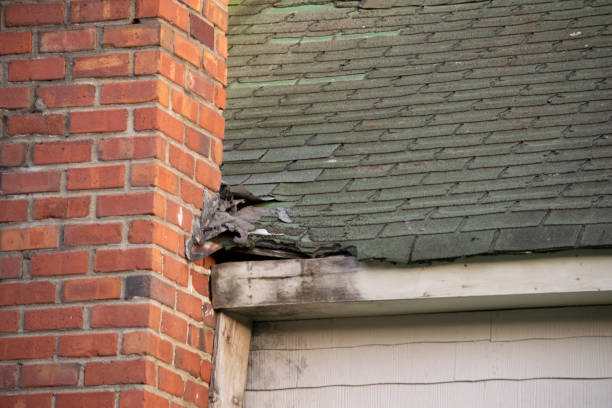 istock Damaged and old roofing shingles,chimney, and gutter system on a house 1162064421