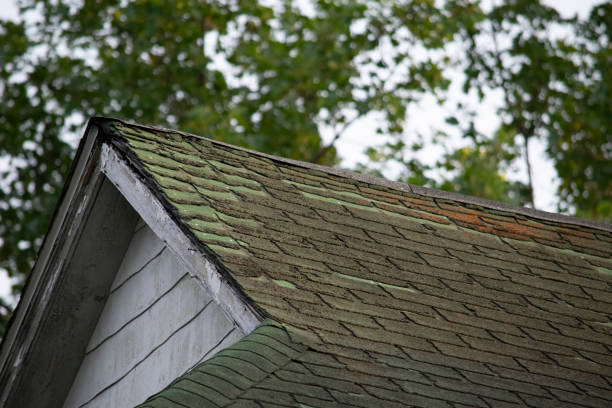 istock Damaged and old roofing shingles and gutter system on a house 1162064427