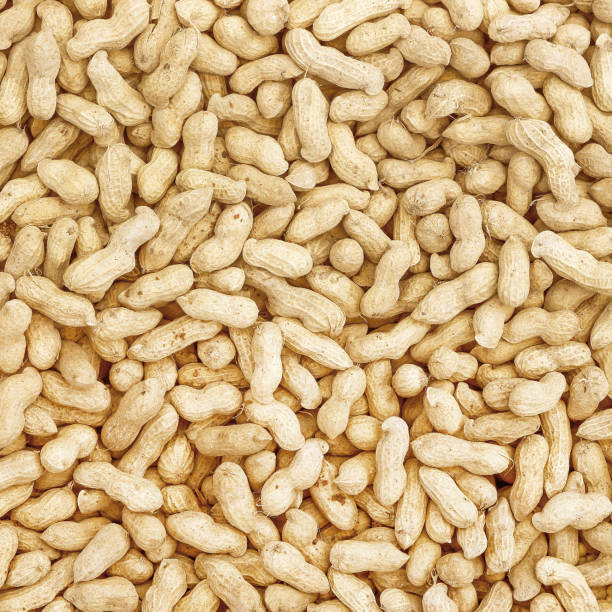 istock Pile of peanuts in shell background 1162065124