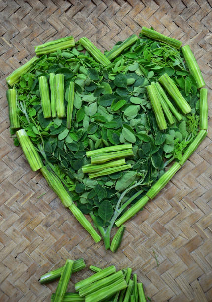 Moringo Tree Leaves and drumsticks fruits of this plants Moringo Tree Leaves and drumsticks fruits of this plants decorated in heart shape. Moringa oleifera is a plant that is often called the drumstick tree, the miracle tree, the ben oil tree, or the horseradish tree. moringa leaves stock pictures, royalty-free photos & images