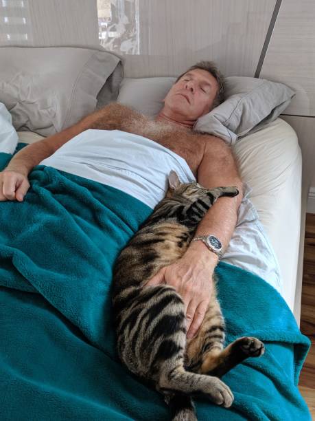 istock an old man taking nap with his cat 1162066504