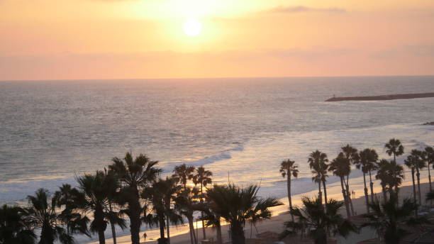 istock Oceanside beach with palm trees. Oceanside California at sunset shot in high resolution 1162068094