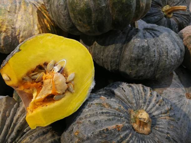 istock Pumpkin in Supermarket 1162069103