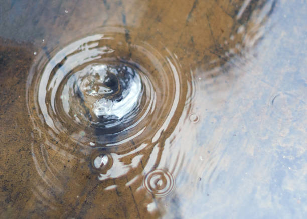 Raindrops fall in a pond creating a backgrounds scene.