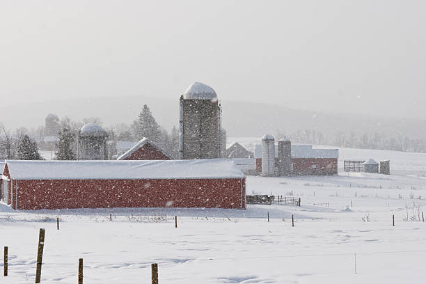 istock Barns and Morning Snow Squal in Early Winter 116207073