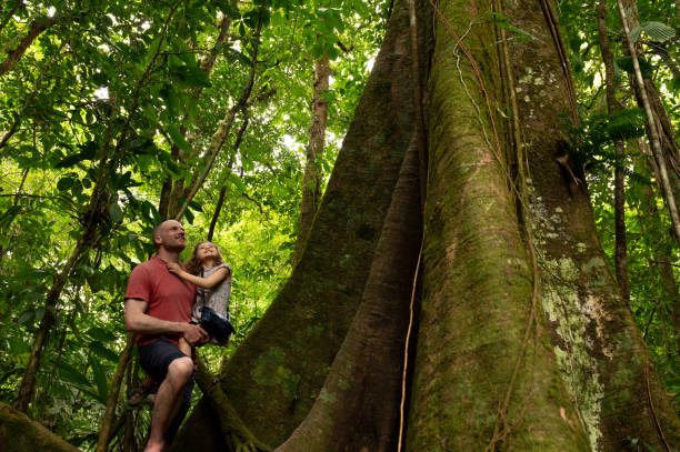 Father and daughter looking up at large tree