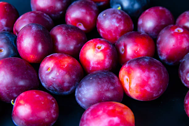 istock Fruits of garden plums on a black background. 1162075797