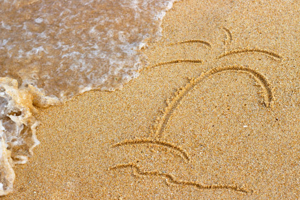 istock Palm tree painted on the sand and sea wave, summer background top view 1162078502
