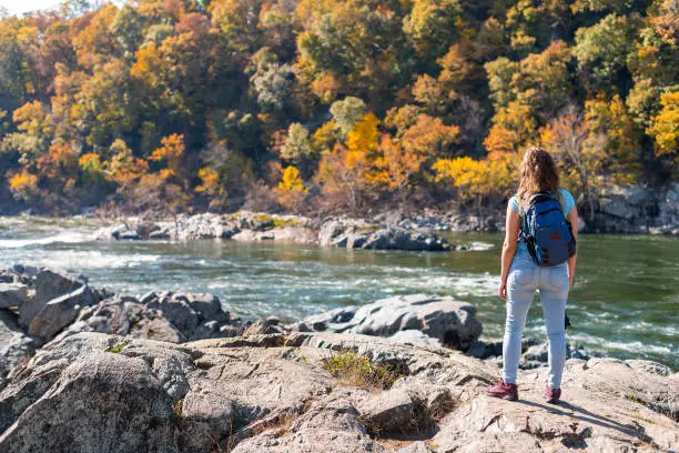 Photo of Young woman photographer with backpack and camera looking at view of Potomac river in Great Falls with autumn colorful foliage in Maryland