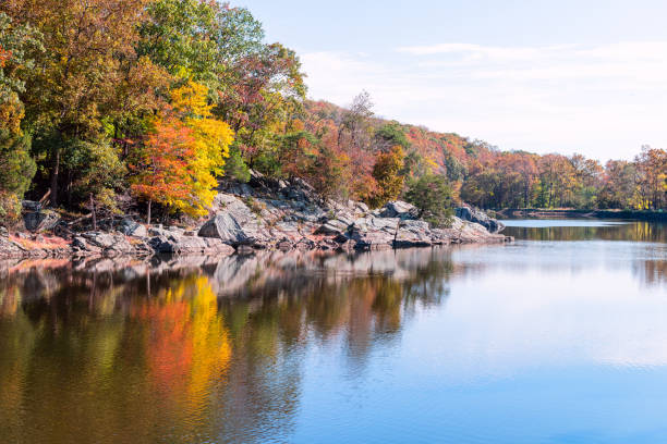 Great Falls yellow orange blue autumn tree reflection view in canal lake river surface during autumn in Maryland colorful leaves foliage