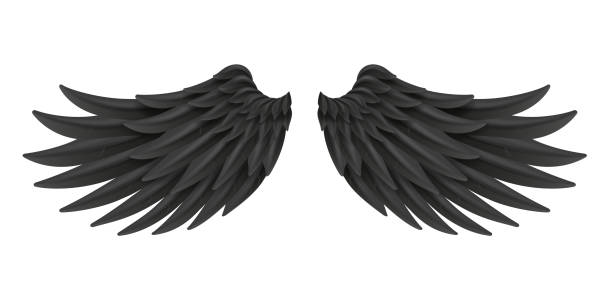 istock Black wings bird animal feather angel fly 3d realistic design decoration element transparent background vector illustration 1162082710