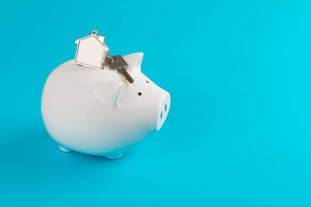 istock Piggy Bank 1162083831