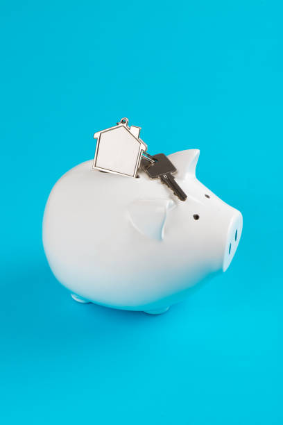 istock Piggy Bank 1162083857