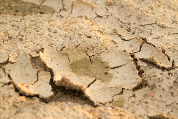 istock close up of cracked ground 1162085233
