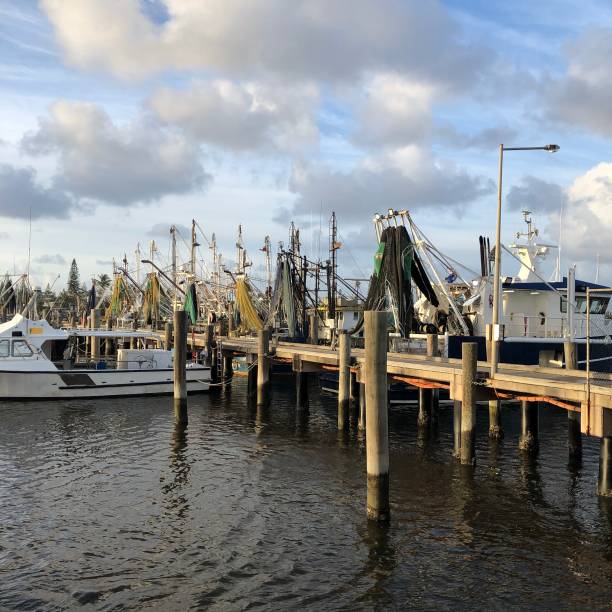 istock Fishing boats at marina 1162086178