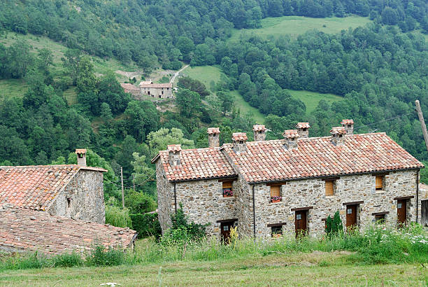 March 28th. 2020. This is a Farmhouse farm agricultural landscape in the Pyrenees-Atlantique department of France, near the town of Arrette. It is a sunny day in Spring and there are no people in the picture.