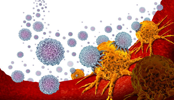Oncology Medicine Oncology medicine and cancer treatment concept as a tumor or tumour being treated with white blood cells attacking the disease as an immunotherapy 3D illustration. metastasis photos stock pictures, royalty-free photos & images
