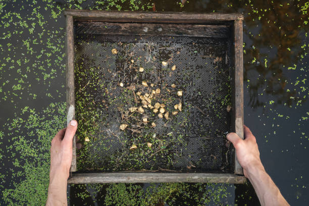 Gold mining. Sifting soil in water through the grate in search of the gold concept. gold mining panning stock pictures, royalty-free photos & images