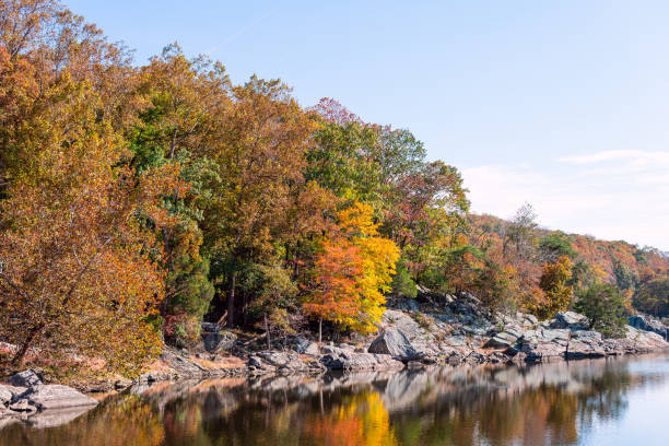 istock Great Falls yellow orange autumn tree reflection view in canal lake river surface during autumn in Maryland colorful leaves foliage 1162090880