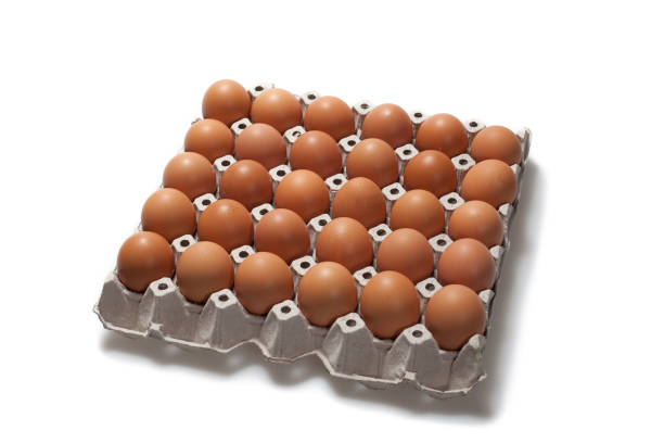 Egg Carton Isolated on White Background