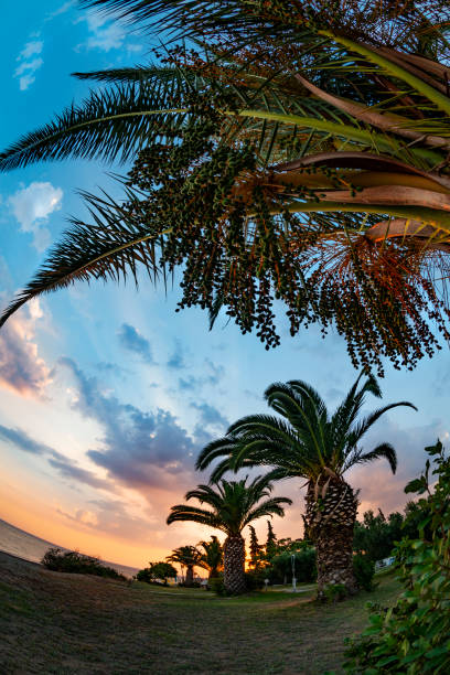 Sunset at Gerakini beach at Aegean Sea. Halkidiki, Greece. (Fish Eye Lens)