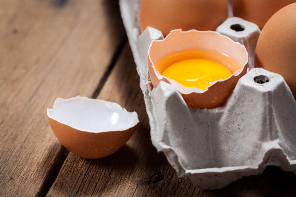 Egg Carton