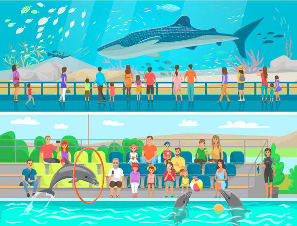 Dolphin Trick Illustrations, Royalty-Free Vector Graphics & Clip Art - iStock Dolphin Trick Illustrations, Royalty-Free Vector Graphics & Clip Art - iStock